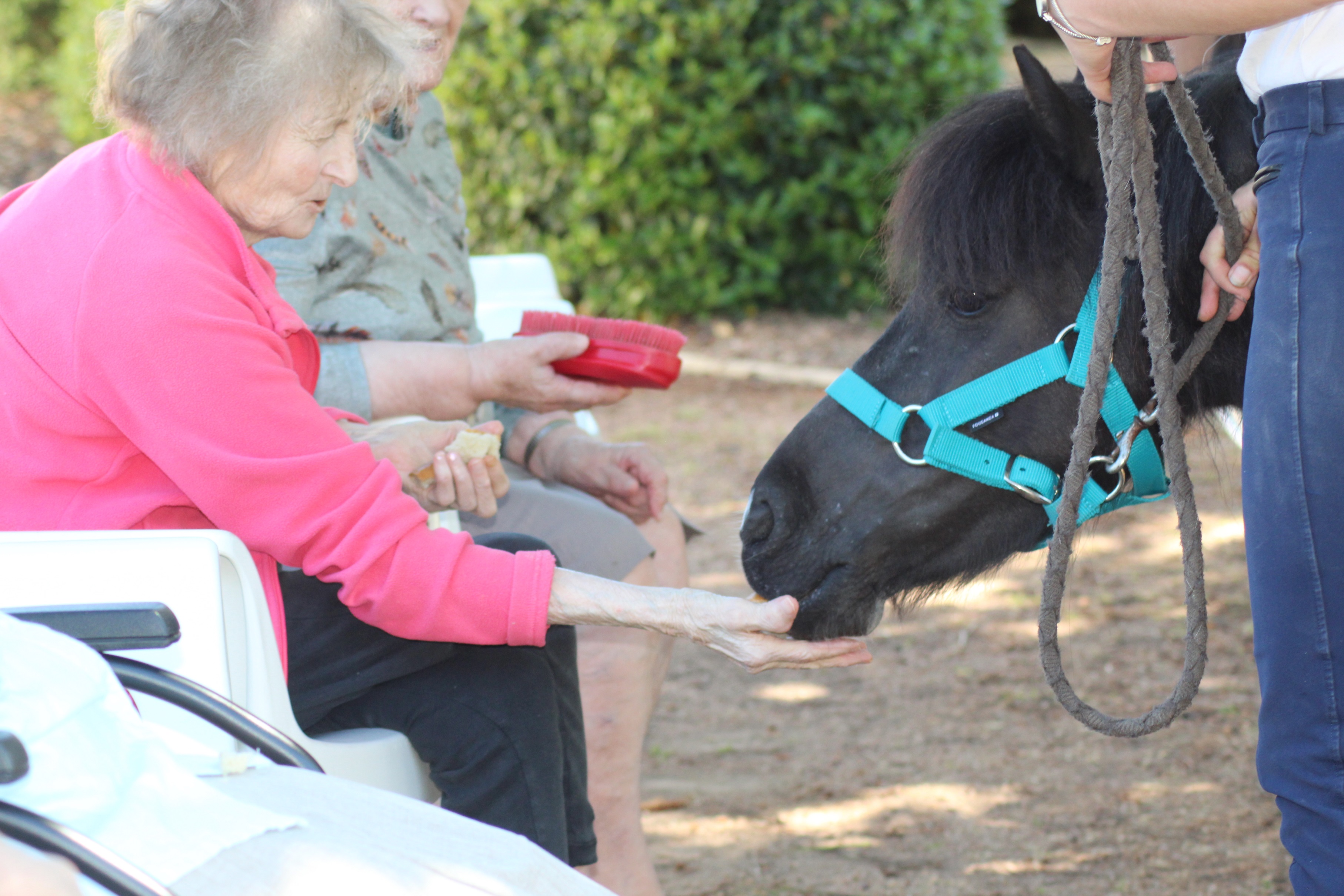 EQUITHERAPIE EHPAD LAVAULT 3.JPG (1.61 MB)