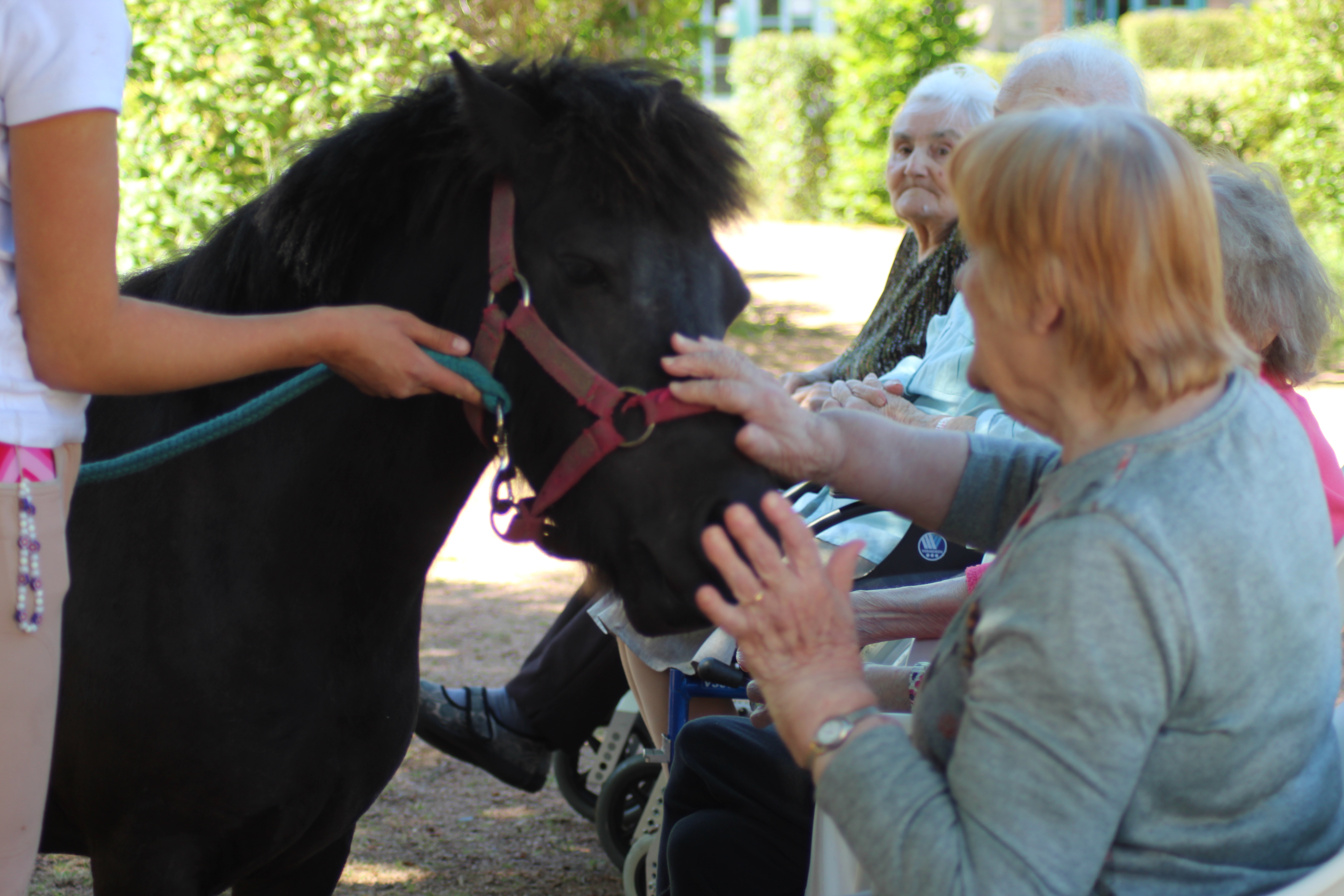 EQUITHERAPIE EHPAD LAVAULT 4.JPG (4.14 MB)