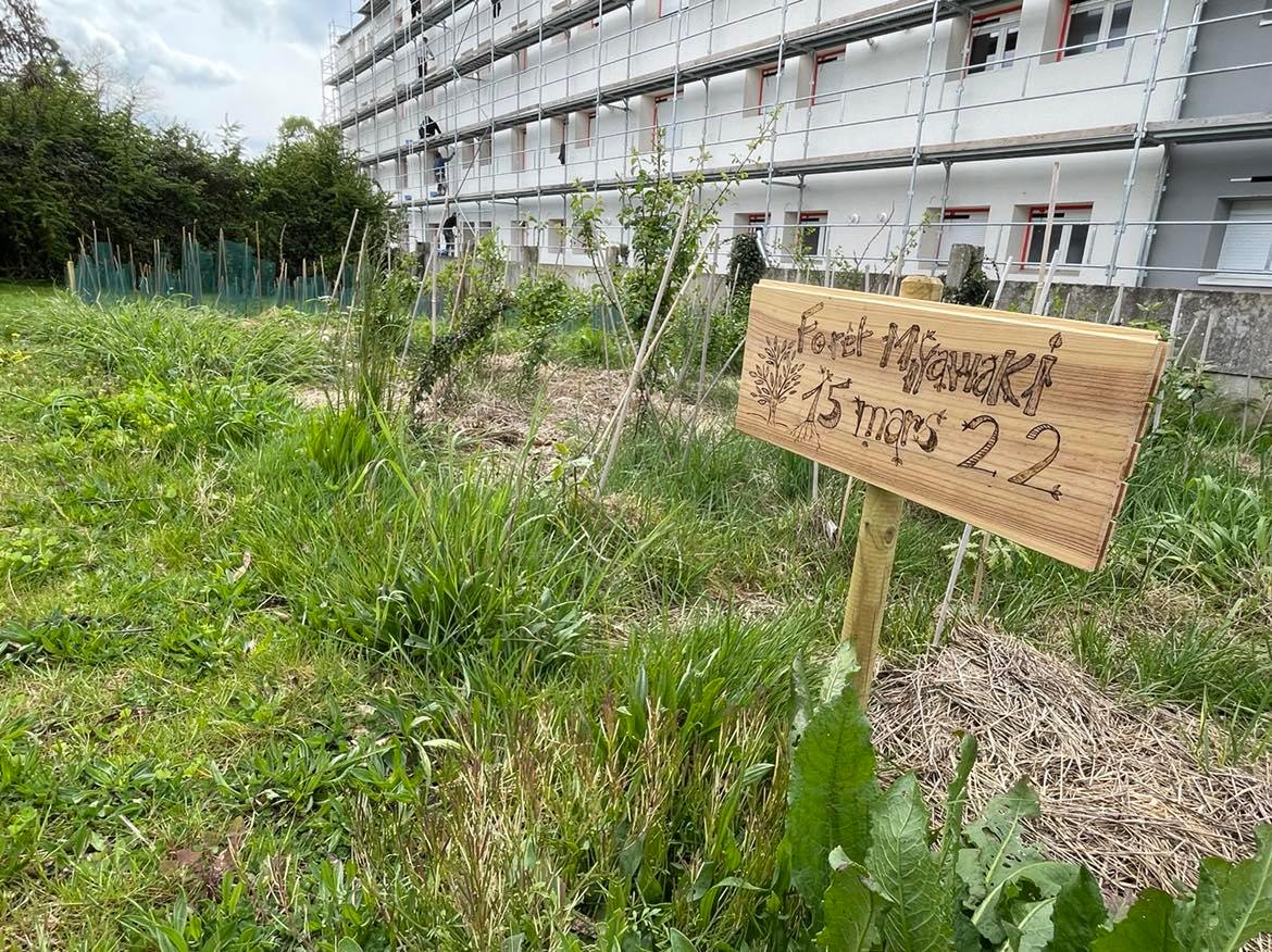 Ecole Louise Michel école fleurie.jpg (304 KB)