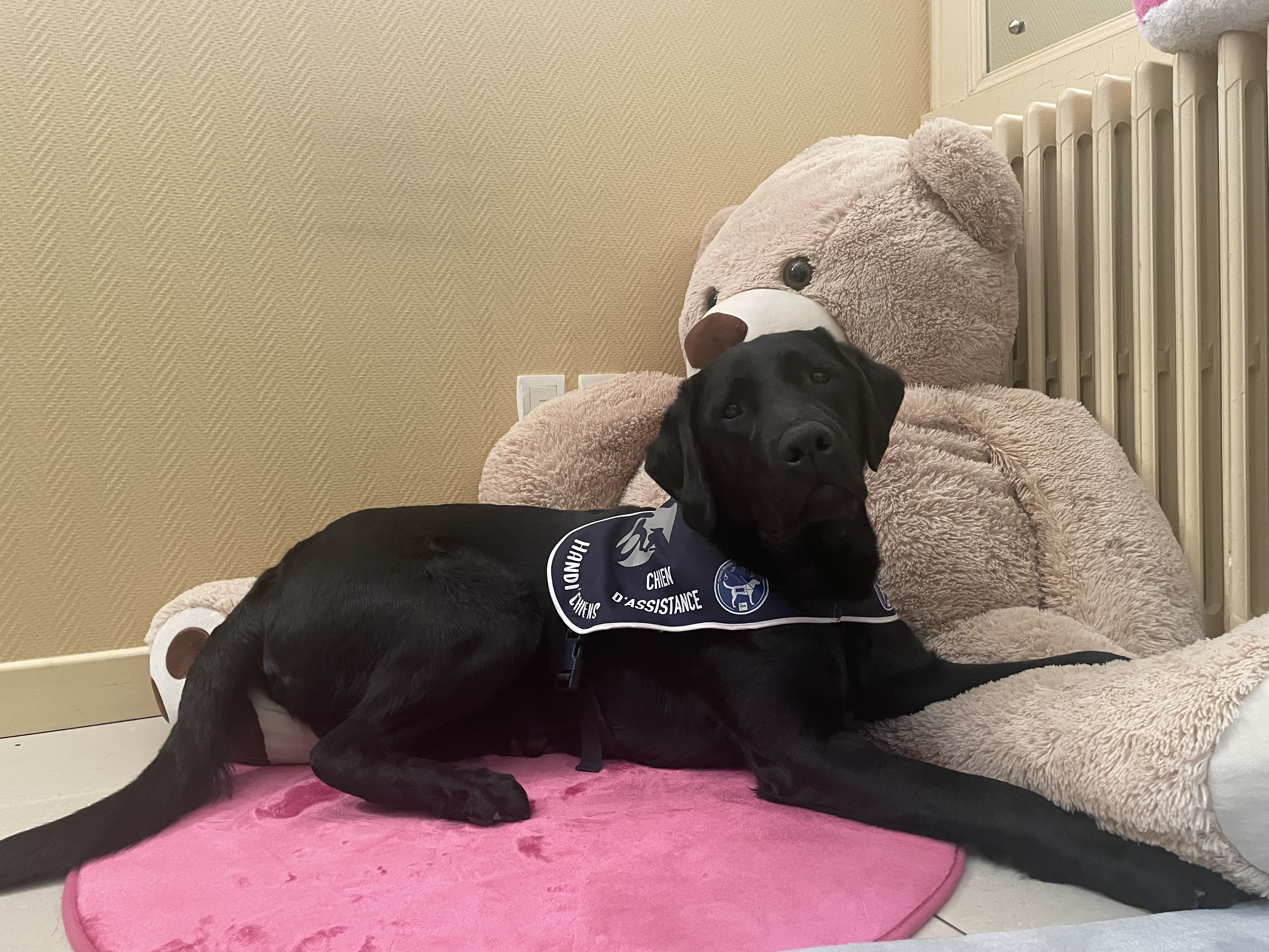 Tryo JEC 03.jpg (3.32 MB)