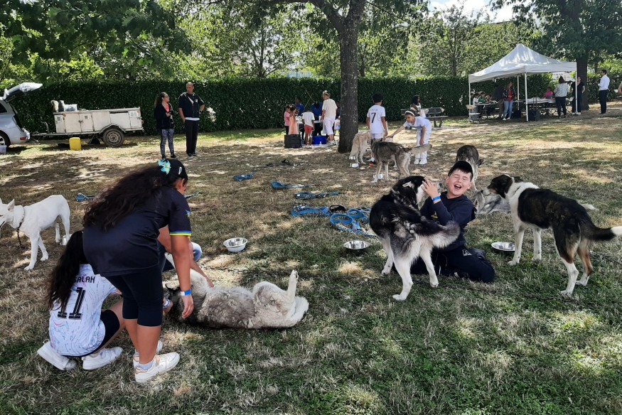 Des animations au pied des tours : l'opération En bas de chez toi renouvelée tout ce mois de juillet