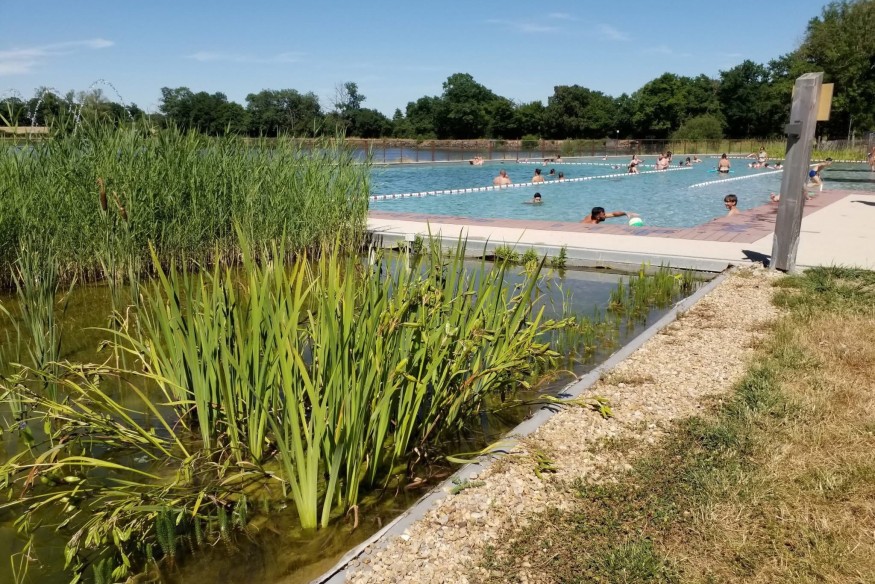 La baignade biologique d'Herculat prisée au point de devoir refuser du monde